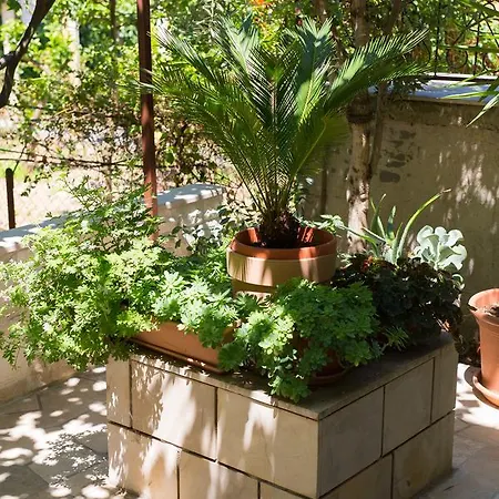 Dora - With Large Garden Terrace: A Donji-polanda Supetar. Island Brac